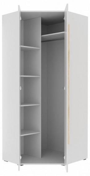 Шкаф платяной Куба 1725.М3 в Нефтекамске - neftekamsk.mebel24.online | фото 11