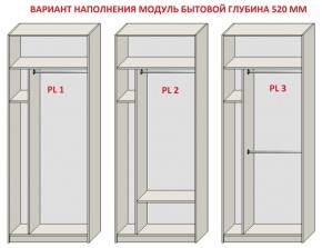 Шкаф распашной серия «ЗЕВС» (PL3/С1/PL2) Серый камень/Небраска натуральный в Нефтекамске - neftekamsk.mebel24.online | фото 5