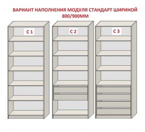 Шкаф распашной серия «ЗЕВС» (PL3/С1/PL2) Серый камень/Небраска натуральный в Нефтекамске - neftekamsk.mebel24.online | фото 6