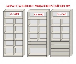 Шкаф распашной серия «ЗЕВС» (PL3/С1/PL2) Серый камень/Небраска натуральный в Нефтекамске - neftekamsk.mebel24.online | фото 7
