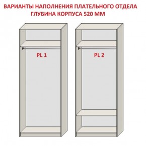 Шкаф распашной серия «ЗЕВС» (PL3/С1/PL2) Серый камень/Небраска натуральный в Нефтекамске - neftekamsk.mebel24.online | фото 9