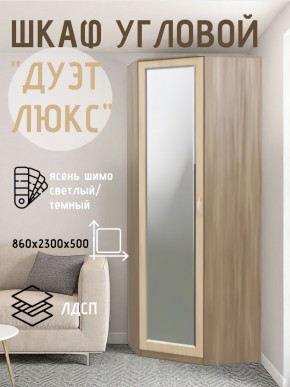 Шкаф угловой Дуэт Люкс с зеркалом в Нефтекамске - neftekamsk.mebel24.online | фото 3