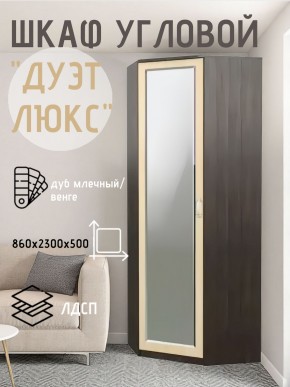 Шкаф угловой Дуэт Люкс с зеркалом в Нефтекамске - neftekamsk.mebel24.online | фото 5