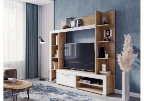 Стенка для гостиной Касэль в Нефтекамске - neftekamsk.mebel24.online | фото 2