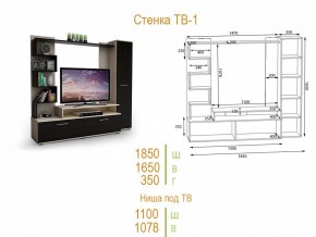 Стенка для гостиной ТВ-1 в Нефтекамске - neftekamsk.mebel24.online | фото 2