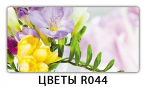 Стол раздвижной Бриз лайм R156 Доска D111 в Нефтекамске - neftekamsk.mebel24.online | фото 16