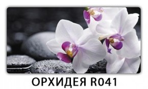Стол раздвижной Бриз орхидея R041 Кофе R012 в Нефтекамске - neftekamsk.mebel24.online | фото 1