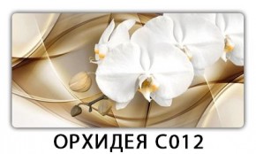 Стол раздвижной Трилогия с фотопечатью Доска D112 в Нефтекамске - neftekamsk.mebel24.online | фото 13