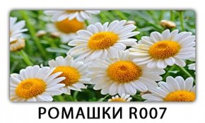 Стол раздвижной Трилогия с фотопечатью Доска D112 в Нефтекамске - neftekamsk.mebel24.online | фото 15