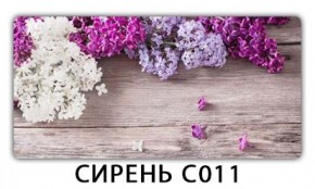 Стол раздвижной Трилогия с фотопечатью Доска D113 в Нефтекамске - neftekamsk.mebel24.online | фото 16
