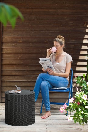 Столик-холодильник Кул-Стул (Cool stool) графит в Нефтекамске - neftekamsk.mebel24.online | фото 1