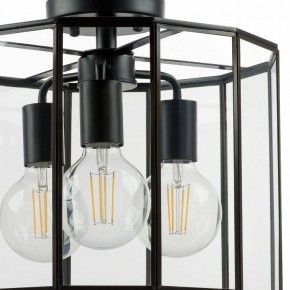 Светильник на штанге Lightstar Genni 798237 в Нефтекамске - neftekamsk.mebel24.online | фото 4