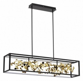 Светильник на штанге Odeon Light Bild 5065/65L в Нефтекамске - neftekamsk.mebel24.online | фото