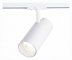 Светильник на штанге ST-Luce Mono ST350.536.30.36 в Нефтекамске - neftekamsk.mebel24.online | фото 2