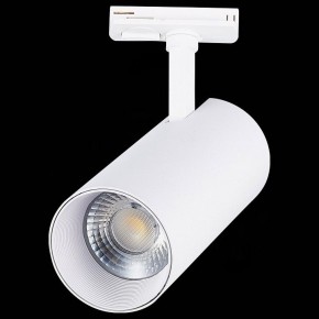 Светильник на штанге ST-Luce Mono ST350.536.30.36 в Нефтекамске - neftekamsk.mebel24.online | фото 6