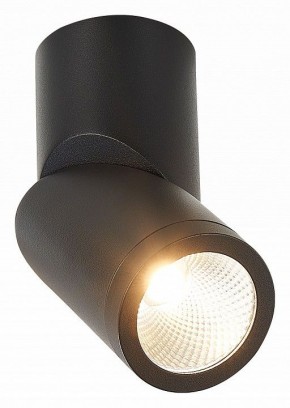 Светильник на штанге ST-Luce ST650 ST650.442.10 в Нефтекамске - neftekamsk.mebel24.online | фото 2