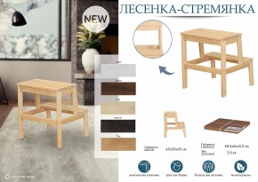 Табурет Стремянка в Нефтекамске - neftekamsk.mebel24.online | фото 6