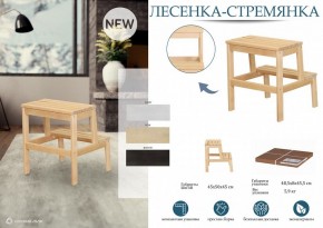 Табурет Стремянка в Нефтекамске - neftekamsk.mebel24.online | фото 4