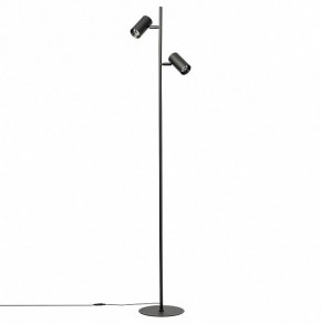 Торшер Citilux Twin CL809011N в Нефтекамске - neftekamsk.mebel24.online | фото