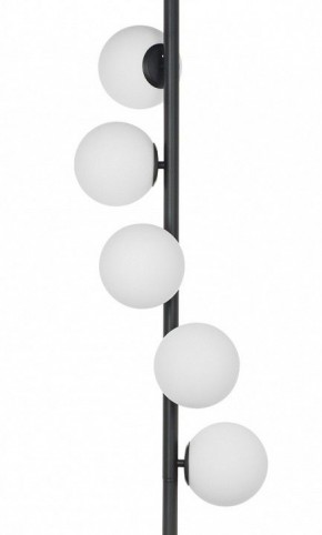 Торшер Lightstar Croco 815757 в Нефтекамске - neftekamsk.mebel24.online | фото 3