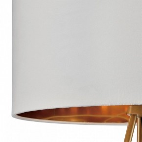 Торшер Lumion Tapioka 8077/1F в Нефтекамске - neftekamsk.mebel24.online | фото 6
