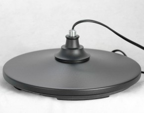 Торшер Lussole Greene LSP-0572 в Нефтекамске - neftekamsk.mebel24.online | фото 4