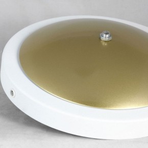 Торшер Lussole LSP-062 LSP-0625 в Нефтекамске - neftekamsk.mebel24.online | фото 2