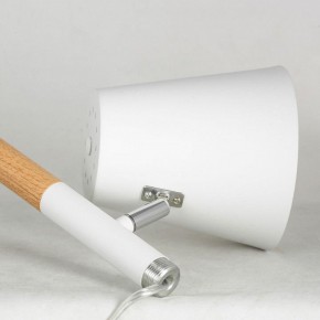 Торшер Lussole Buckeye LSP-0628 в Нефтекамске - neftekamsk.mebel24.online | фото 4