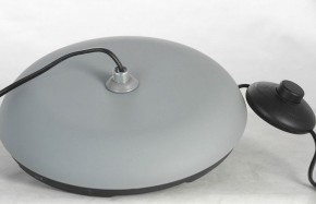 Торшер Lussole Flagstaff LSP-0630 в Нефтекамске - neftekamsk.mebel24.online | фото 6