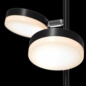 Торшер Maytoni Fad MOD070FL-L12B3K в Нефтекамске - neftekamsk.mebel24.online | фото
