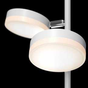 Торшер Maytoni Fad MOD070FL-L12W3K в Нефтекамске - neftekamsk.mebel24.online | фото 5