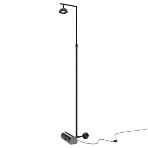 Торшер Maytoni Pikant MOD372FL-L10B3K в Нефтекамске - neftekamsk.mebel24.online | фото