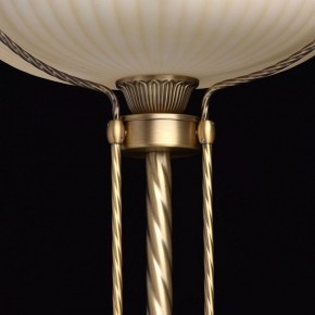 Торшер MW-Light Афродита 1 317040901 в Нефтекамске - neftekamsk.mebel24.online | фото 6
