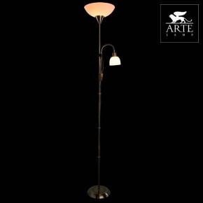 Торшер с подсветкой Arte Lamp Duetto A9569PN-2AB в Нефтекамске - neftekamsk.mebel24.online | фото 3