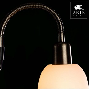 Торшер с подсветкой Arte Lamp Duetto A9569PN-2AB в Нефтекамске - neftekamsk.mebel24.online | фото 4