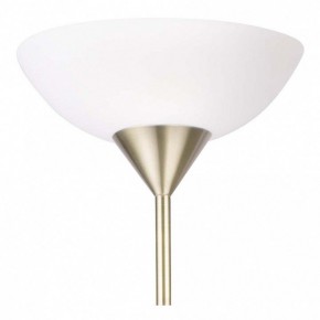 Торшер с подсветкой Arte Lamp Duetto A9569PN-2AB в Нефтекамске - neftekamsk.mebel24.online | фото 5