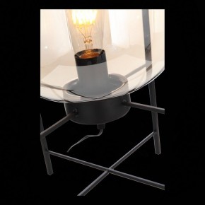 Торшер ST-Luce Burasca SL1050.505.01 в Нефтекамске - neftekamsk.mebel24.online | фото 9