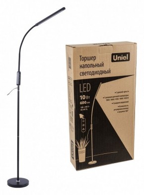 Торшер Uniel ULM-T619 UL-00010178 в Нефтекамске - neftekamsk.mebel24.online | фото 4