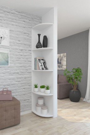 Угловой элемент ЛДСП 1 кат. в Нефтекамске - neftekamsk.mebel24.online | фото