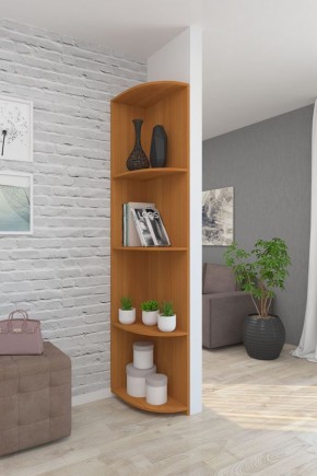 Угловой элемент ЛДСП 1 кат. в Нефтекамске - neftekamsk.mebel24.online | фото 6