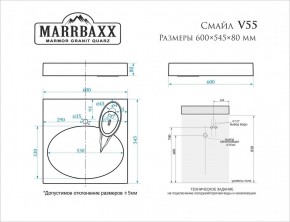 Умывальник над стиральной машиной (600*545*80) Смайл V55D1 (белый) с кронштейном без сифона (V55D1) в Нефтекамске - neftekamsk.mebel24.online | фото 2