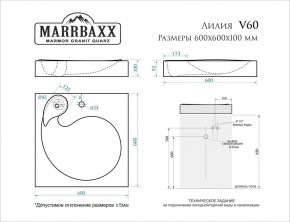 Умывальник над стиральной машиной (600*600х100) Лилия V60 (белый) с кронштейном без сифона (V60) в Нефтекамске - neftekamsk.mebel24.online | фото 2